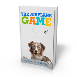 The-Airplane-Game-3D